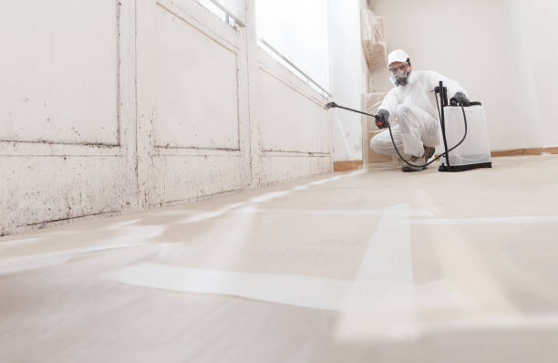 24/7 Emergency Mold Removal experts in Front Royal, VA