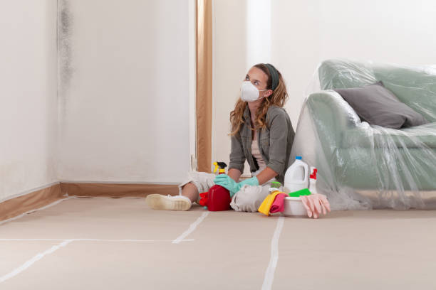 Reliable Mold Removal contractor in Front Royal, VA by 24 Hour Mold Removal